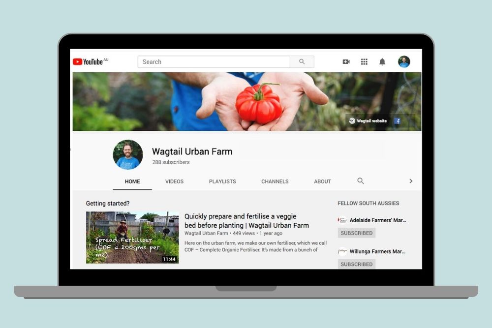 Wagtail Urban Farm YouTube subscribers