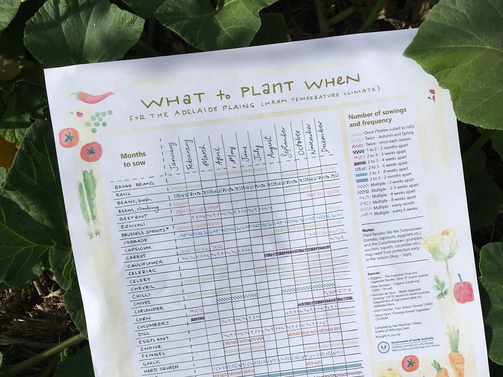 What to Plant When poster - Adelaide Plains1