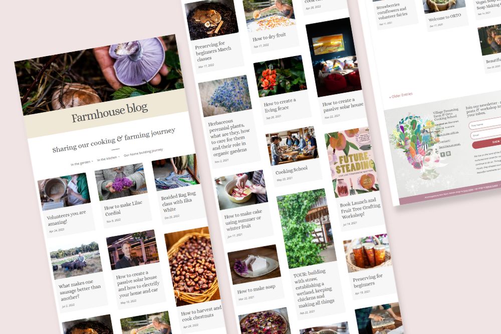 A screengrab showing the updated blog layout for Village Dreaming Permaculture Farm.