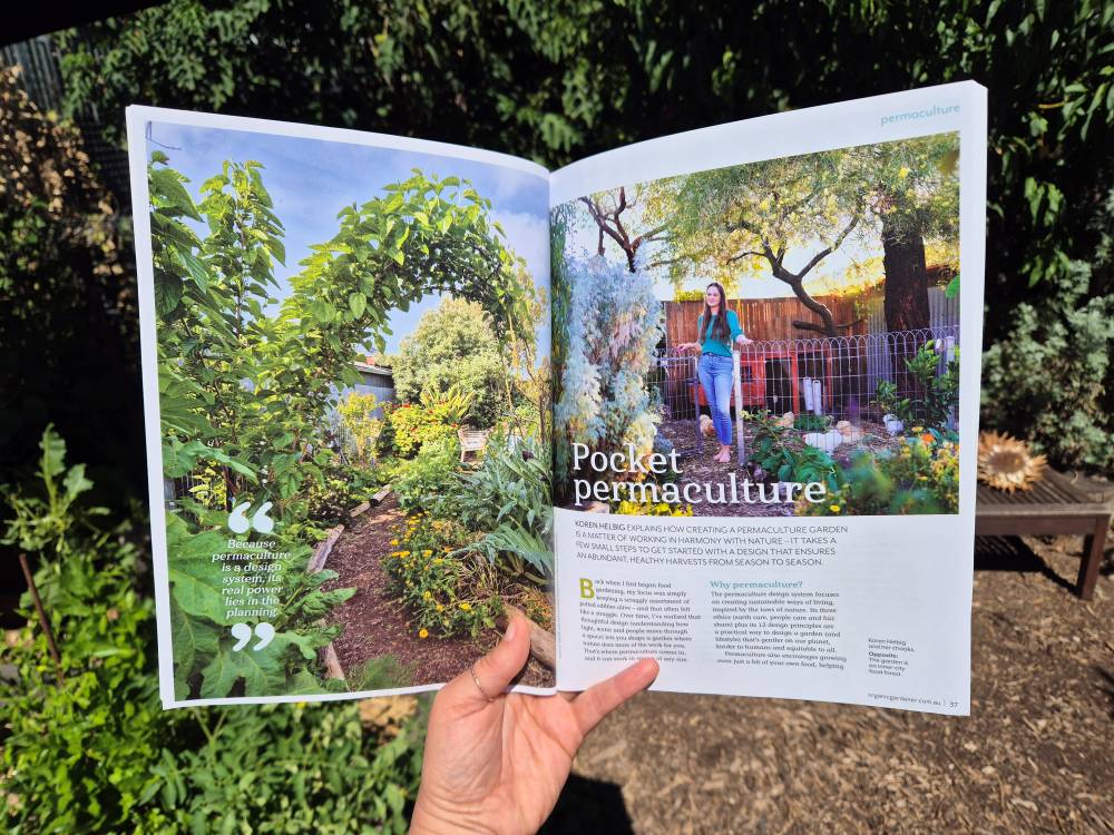 The first two pages of the six-page permaculture gardening feature story in Organic Gardener Magazine