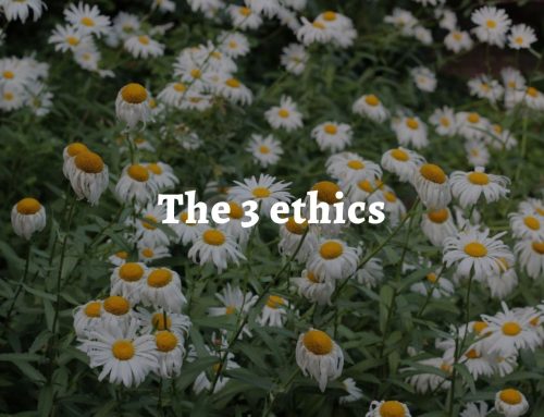 The 3 permaculture ethics: how to use them in business and marketing