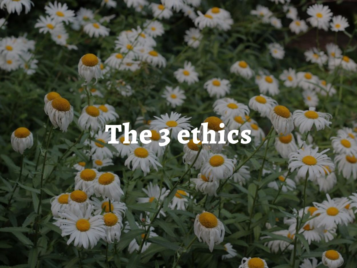Yellow and white flowers, with the words 'the 3 permaculture ethics' written over the top