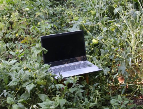 Tech, finance and marketing tools I use to run my ethical small business in 2026