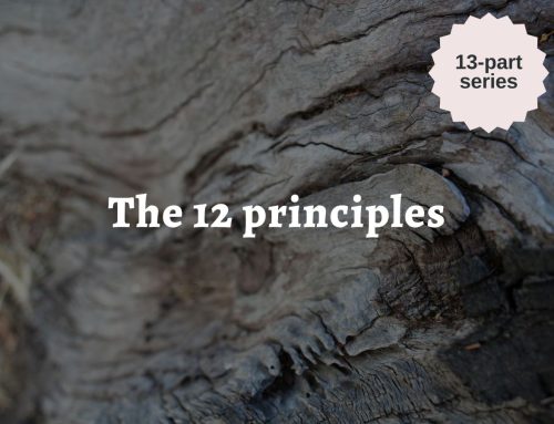 The 12 permaculture principles: a framework for making ethical marketing decisions