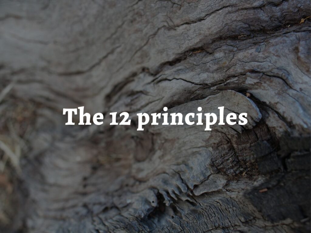 A close-up of the textures of a tree trunk, with the words 'the 12 permaculture principles' written over the top.