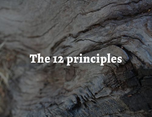 The 12 permaculture principles: a framework for making ethical marketing decisions