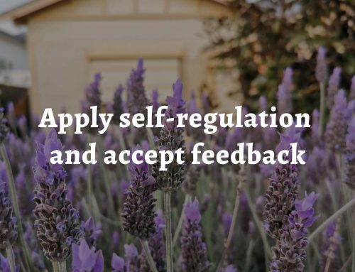 Permaculture principle 4: Apply self-regulation and accept feedback