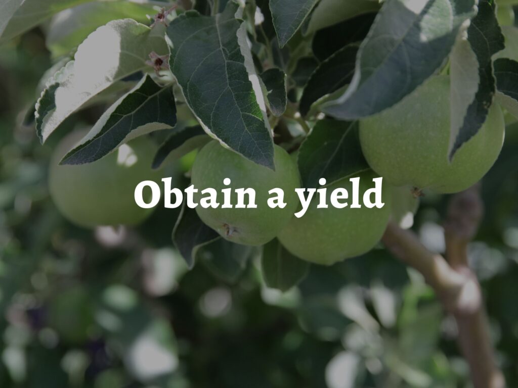 Green apples ready to be picked, over which is laid the words 'permaculture principle three: obtain a yield"