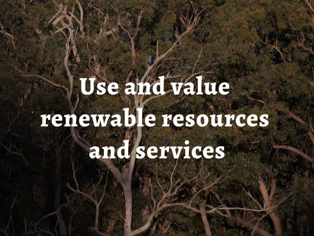 A giant gum tree, over which are laid the words 'permaculture principle 5: Use and value renewable resources and services