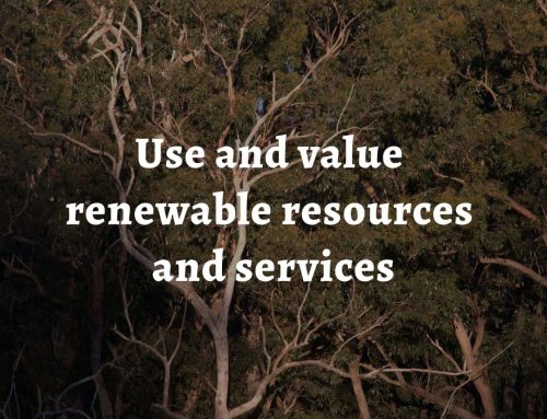 Permaculture principle 5: Use and value renewable resources and services