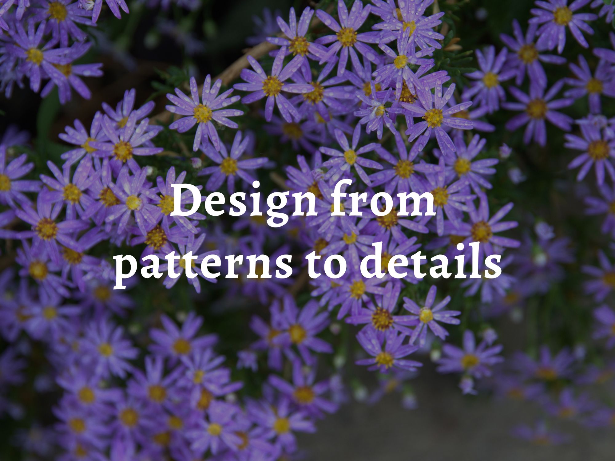 Bright purple flours in a pattern form, over which are laid the words 'permaculture principle 7: design from patterns to details'