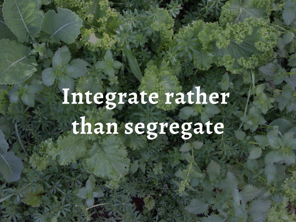 A jumble of integrated different edible plants, over which is laid the text: 'Permaculture principle 8: Integrate rather than segregate'