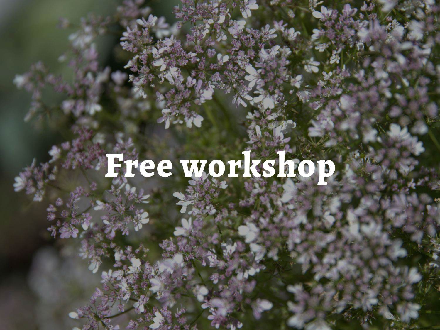 Coriander in flower, over which are the words: free workshop
