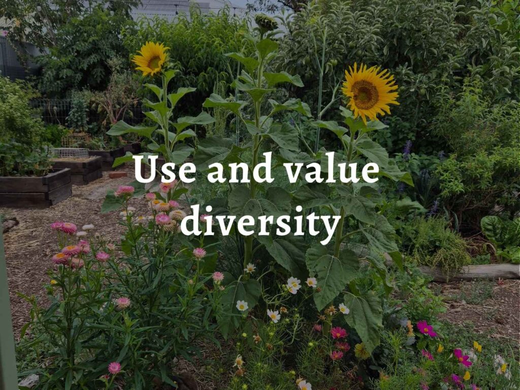 A thriving garden of edible and flowering plants, over which are the words: 'Permaculture principle 10: Use and value diversity'. 