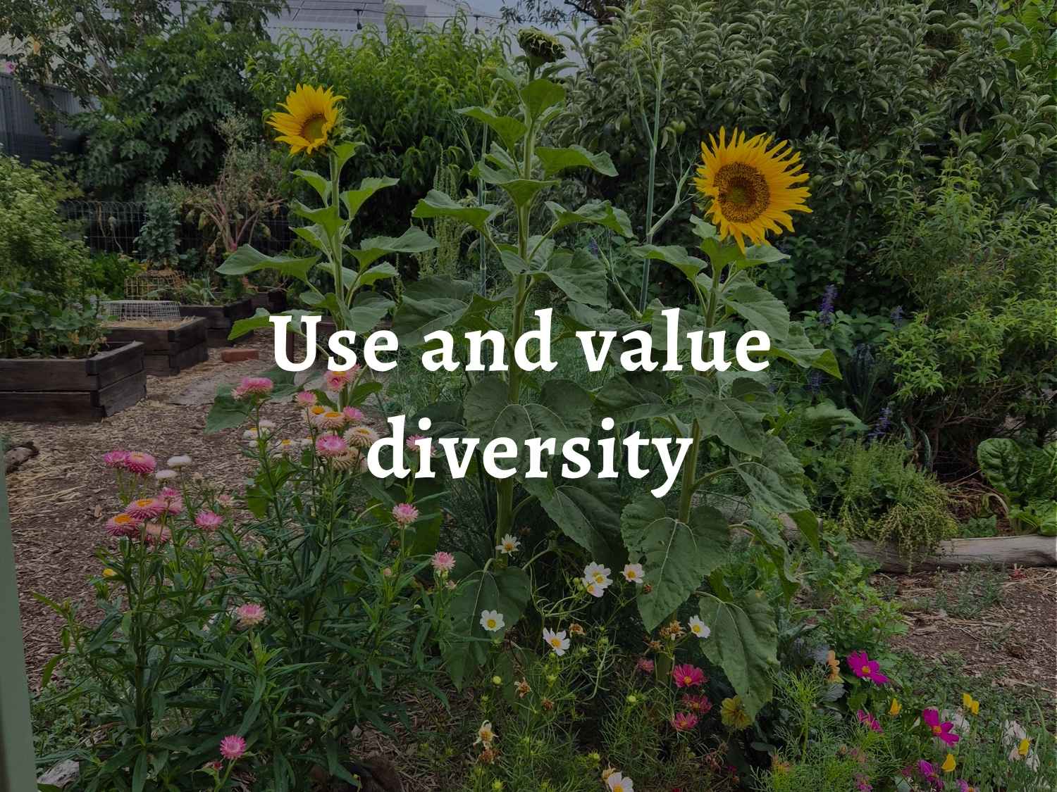 A thriving garden of edible and flowering plants, over which are the words: 'Permaculture principle 10: Use and value diversity'.