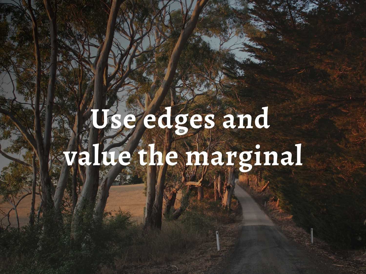 An Australian dirt road surrounded by gum trees and paddocks, over which are the words: 'Permaculture principle 11: Use edges and value the marginal.'