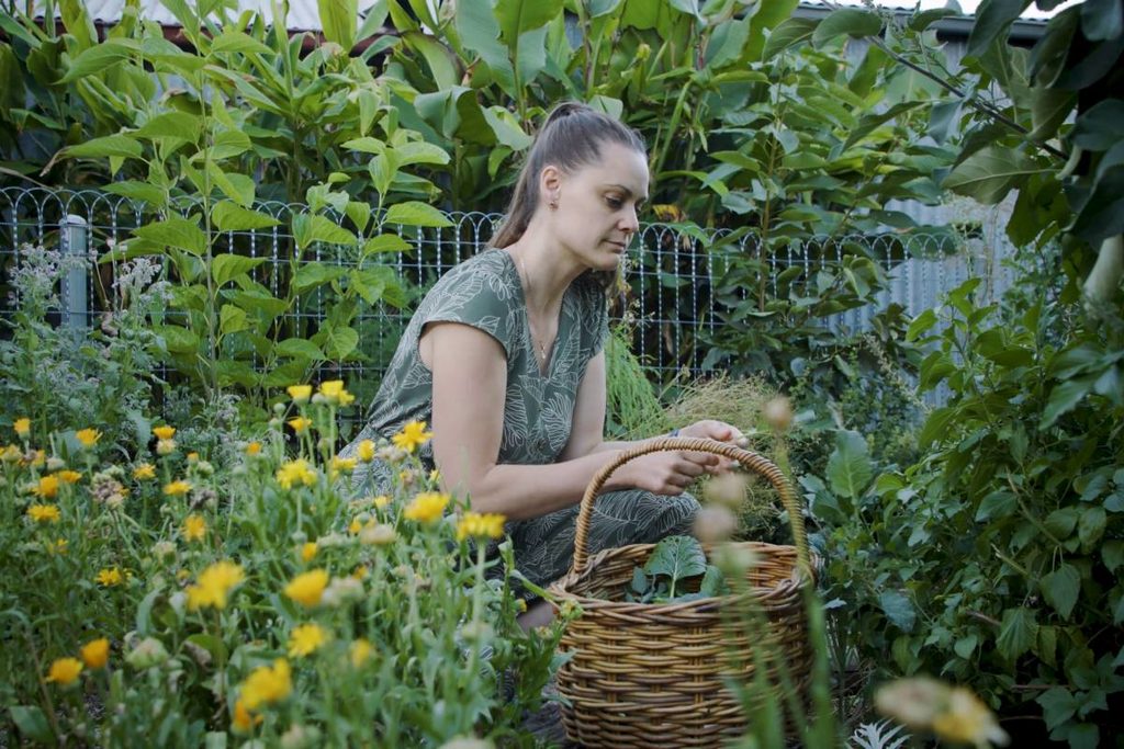Koren Helbig picking a basket of produce in her flower-filled food forest - photo by Guy Furner