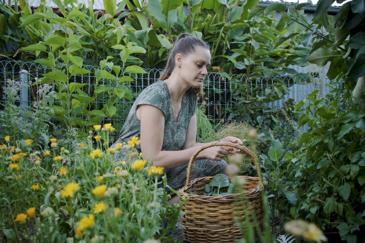 Koren Helbig picking a basket of produce in her flower-filled food forest - photo by Guy Furner