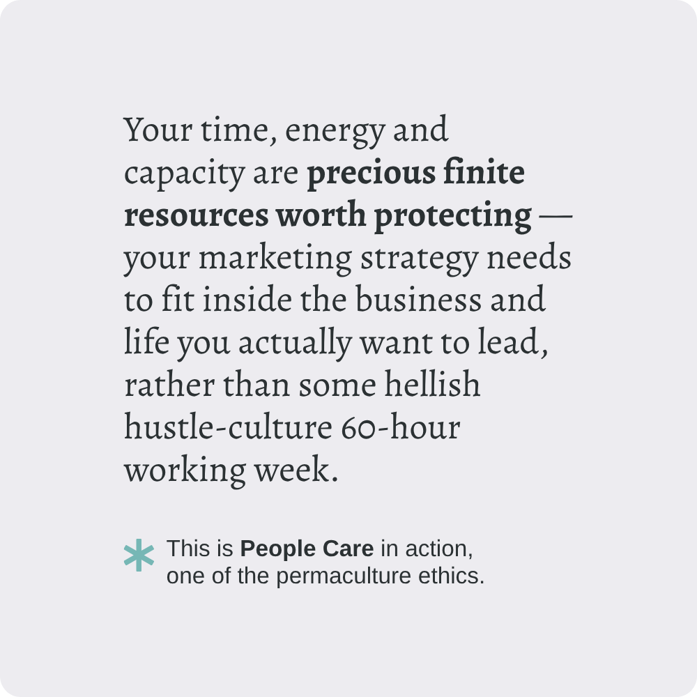 A graphic that reads: Your time, energy and capacity are precious finite resources worth protecting — your marketing strategy needs to fit inside the business and life you actually want to lead, rather than some hellish hustle-culture 60-hour working week. This is People Care in action, one of the permaculture ethics.